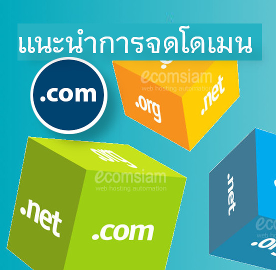 แนะนำการจดโดเมนเนม .com จดโดเมน .net .info .biz 