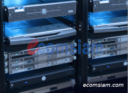 เว็บโฮสติ้ง ฟรีโดเมนเนม - web hosting thailand-free domain