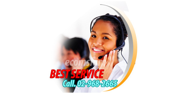 web hosting service call 02968-2665