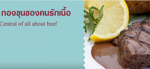 เว็บไซต์สำเร็จรูป Ninenic -ผลงานออกแบบเว็บไซต์ web design client- ผู้นำด้านการผลิตและแปรรูปเนื้อวัว เนื้อโคขุน  รายใหญ่ของประเทศไทย