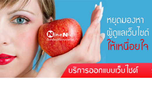 ออกแบบเว็บไซต์สไตล์มืออาชีพ ด้วยเว็บไซต์สำเร็จรูป NineNIC.com free เว็บไซต์เทมเพลต